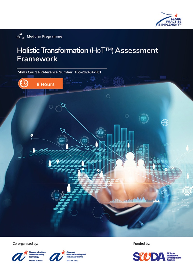 Holistic Transformation Assessment Framework